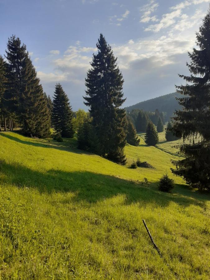 Chalupa U přátel Kovářská Esterno foto